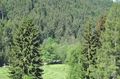 12th International Carpathian Control Conference - ICCC 2011